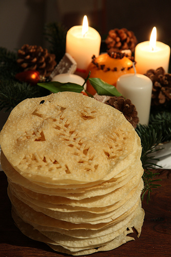 5242057507_fe2619e98a