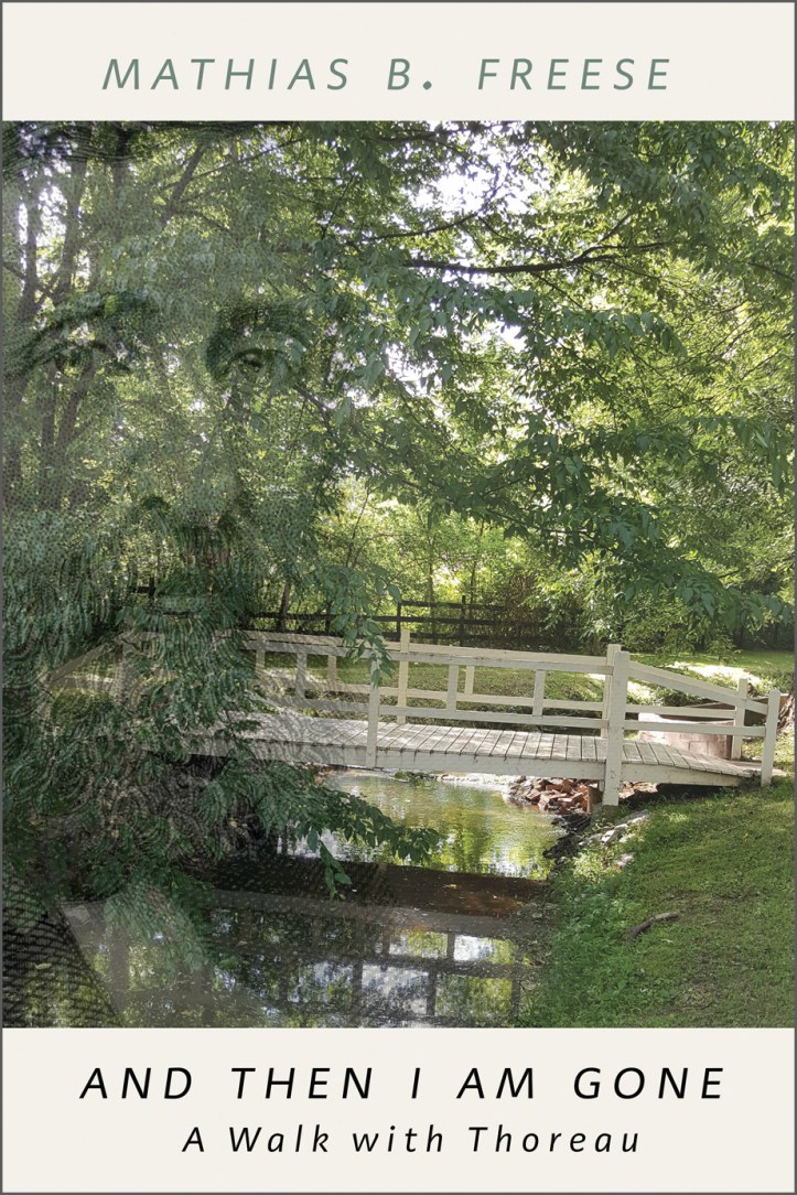 And Then I Am Gone book cover