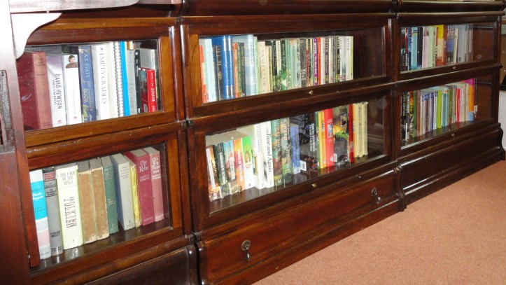 Diney Costeloe Photo.jpg