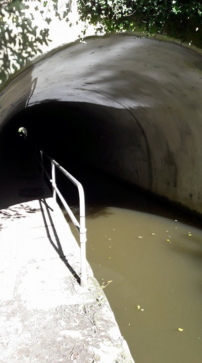 LOVE BOOKS GROUP image