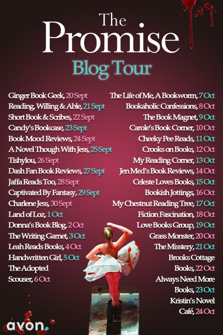 The Promise Blog Tour.jpg